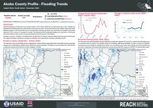 South Sudan: Flooding trends in counties of particular concern of food insecurity, December 2021 factsheets
