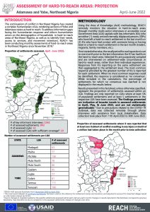 Humanitarian Situation Monitoring in Northeast Nigeria: Protection Factsheet, June 2022