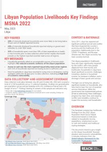 2022 MSNA Livelihoods Key findings factsheet