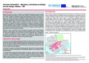 BRA_Situation Overview_Manaus_November 2018_PT