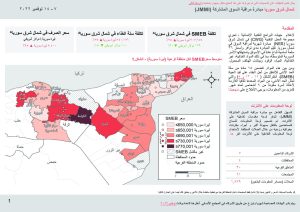 REACH Syria Northeast Factsheet JMMI November 2022 Arabic