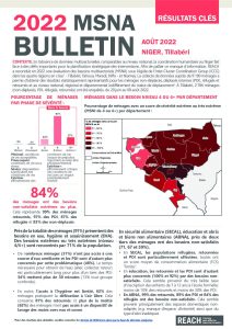 REACH Bulletin régional Tillabéri MSNA 2022 Niger
