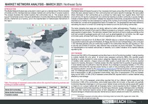 Market Network Analysis – March 2021: Northeast Syria