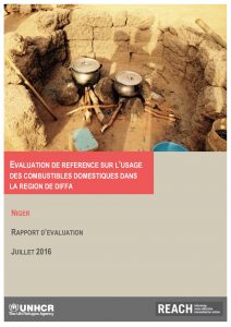 NER_Report_Gas Assessment Report_July 2016