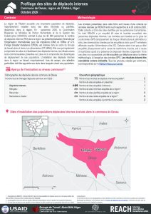 Profilage des sites de déplacés internes dans la commune de Dessa, région de Tillabéri, Niger – Octobre 2020