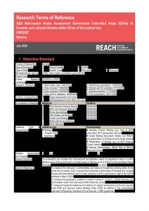 REACH UKR Terms of Reference MSNA GCA July 2020