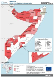 REACH Somalia Map Somalia STM DSA3 Shelter and NFI Severity 12 June 2020