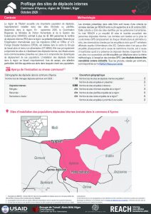 Profilage des sites de déplacés internes dans la commune d'Ayerou, région de Tillabéri, Niger – Octobre 2020
