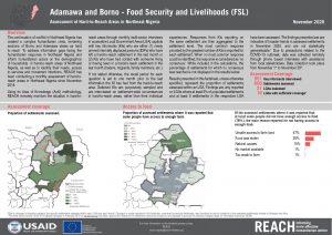Hard to Reach, Food Security and Livelihood, Factsheet Borno and Adamawa State, Nigeria, November 2020