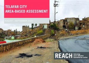 Iraq Area Based Assessment (ABA): Telefar Area Profile - September 2020