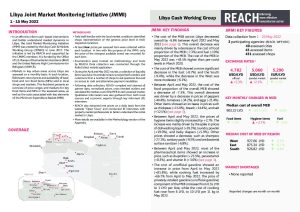 REACH LBY Situation overview JMMI May 2022