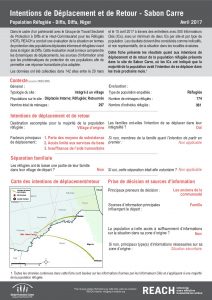 NER_Factsheet_Evaluation Protection, Intentions de Déplacement et de Retour, Sabon Carré, Réfugiés_Avril 2017
