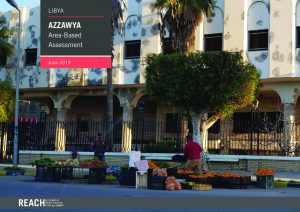 Azzawya Area-Based Assessment report, June 2019