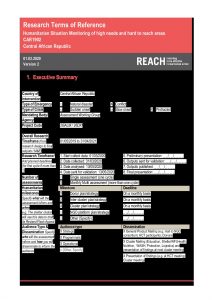 REACH CAR HSM Terms of Reference- Version 2, March 2020