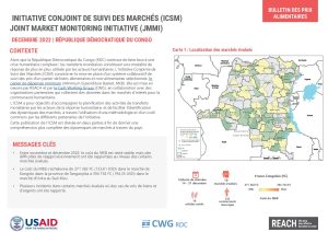 REACH RDC ICSM Factsheet Décembre 2022
