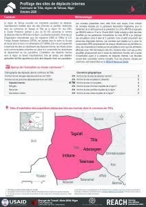 Profilage des sites de déplacés internes dans la commune de Tillia, région de Tahoua, Niger – Octobre 2020