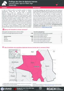 Profilage des sites de déplacés internes dans la commune d'Abala, région de Tillabéri, Niger – Octobre 2020