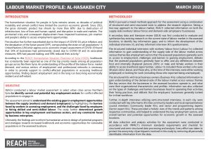 REACH Syria Labour Market Assessment in Al-Hasakeh City - March 2022