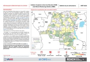 REACH RDC ICSM Factsheet Août 2022