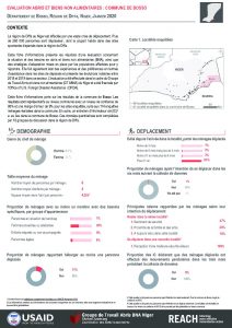 SNFI Assessment in Diffa, Communes Factsheet, Niger - January 2020