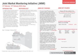 REACH LBY Situation overview JMMI February 2023