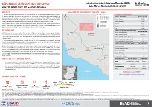 REACH RDC ICSM Factsheet Analyse rapide des marchés de Goma Novembre 2022