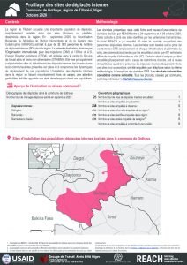 Profilage des sites de déplacés internes dans la commune de Gotheye, région de Tillabéri, Niger – Octobre 2020
