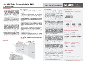 Libya Joint Market Monitoring Initiative, Situation overview, November 2020