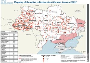 REACH Ukraine, IDP Collective Sites Monitoring, Map, Active Collective Centers (January 2023)