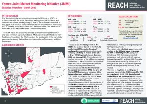 REACH YEM JMMI Situation Overview March 2023