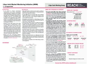 REACH LBY Situation overview JMMI August 2021