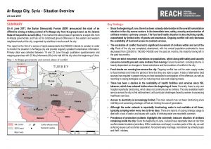 SYR_Situation Overview_Ar-Raqqa city rapid needs assessment_June 2017
