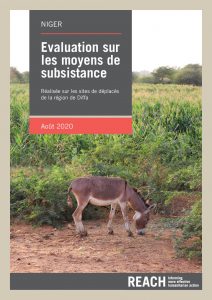 Rapport de l'évaluation sur les moyens de subsistance réalisée dans les sites de déplacés de la région de Diffa, Niger - Août 2020