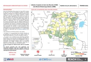 REACH RDC ICSM Factsheet Février 2022