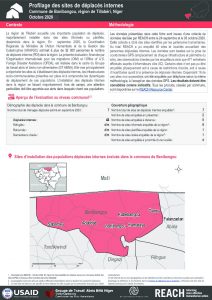Profilage des sites de déplacés internes dans la commune de Banibangou, région de Tillabéri, Niger – Octobre 2020