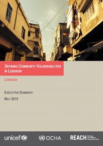 LBN_Report_Defining Community Vulnerability Executive Summary_Feb2015
