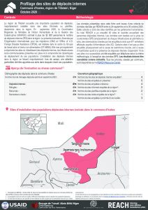 Profilage des sites de déplacés internes dans la commune d'Inates, région de Tillabéri, Niger – Octobre 2020
