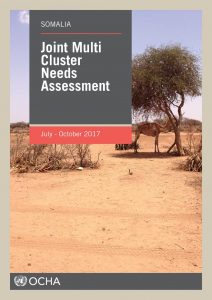 SOM_Report_Joint Multi Cluster Needs Assessment_October 2017