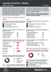 NER_Factsheet_Evaluation Protection, Incidents et Protection, Réfugiés_Avril 2017