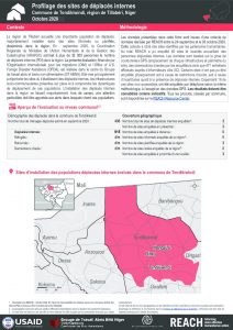 Profilage des sites de déplacés internes dans la commune de Tondikiwindi, région de Tillabéri, Niger – Octobre 2020