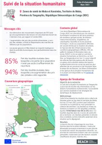 REACH RDC Factsheet HSM TGNK Moba Mars 2023