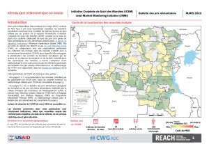 REACH RDC ICSM Factsheet Mars 2022