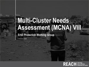 Iraq Multi-Cluster Needs Assessment (MCNA) VIII Erbil Protection Working Group Presentation