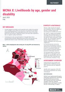 MCNA X Factsheet: Livelihoods by Gender, Age, and Disability