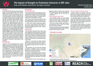 REACH_SOM_Factsheet_Protection_Assessment_Ainabo A IDP Site_Ainabo