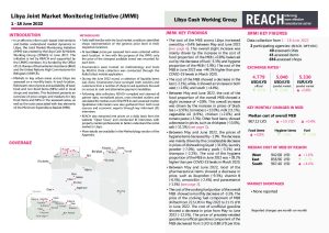 REACH LBY Situation overview JMMI June 2022