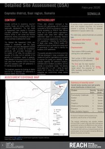 Detailed Site Assessment, Caynabo - February 2020