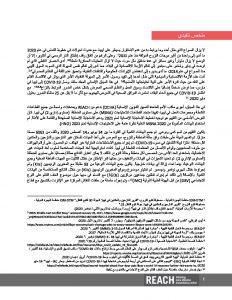 Libya 2020 MSNA Report Executive Summary [Arabic]