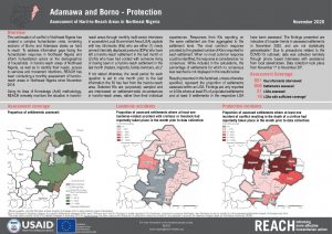 Hard to Reach, Protection, Factsheet Borno and Adamawa State, Nigeria, November 2020