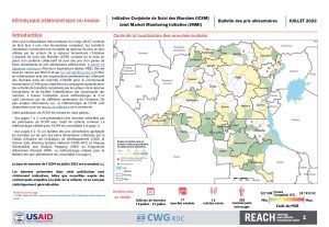 REACH RDC ICSM Factsheet Juillet2022